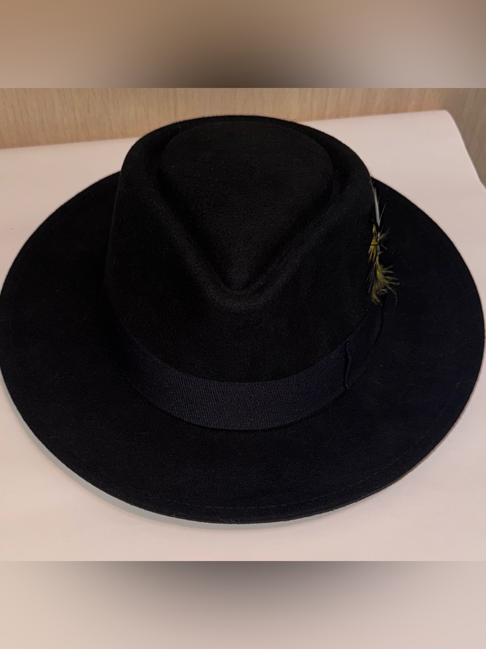 Stampede Hat by California Hat Company 
Classic Black Wool Fedora Hat w/feather